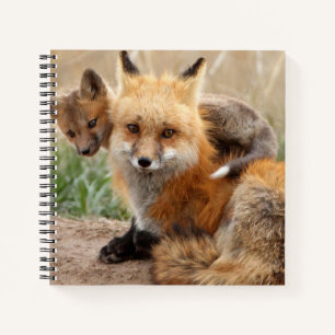Niedliche Kleintiere   Red Fox & Baby Notizbuch