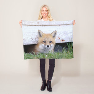 Niedliche Kleintiere   Red Fox Kit Peeking Fleecedecke