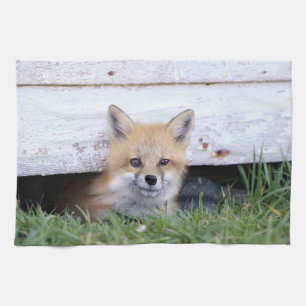 Niedliche Kleintiere Red Fox Kit Peeking Geschirrtuch