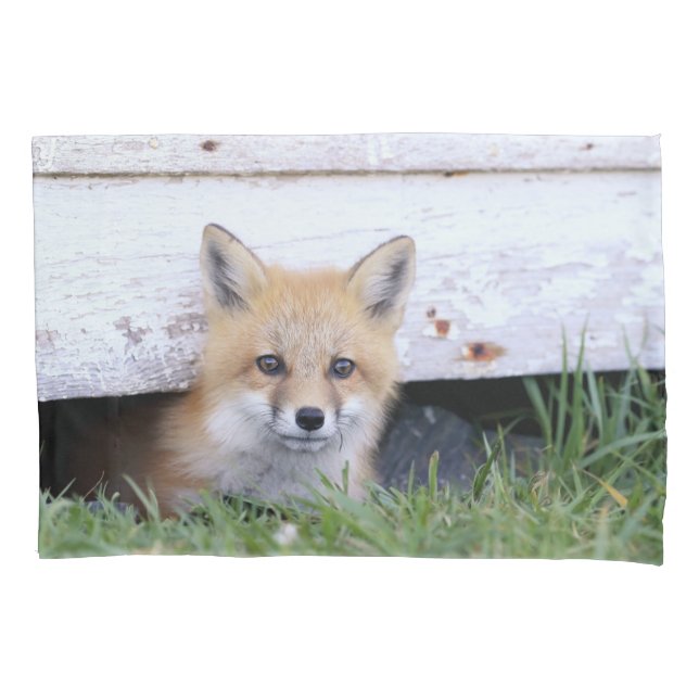 Niedliche Kleintiere | Red Fox Kit Peeking Kissenbezug (Vorderseite)