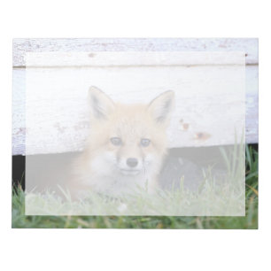 Niedliche Kleintiere Red Fox Kit Peeking Notizblock