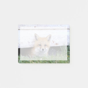 Niedliche Kleintiere Red Fox Kit Peeking Post-it Klebezettel