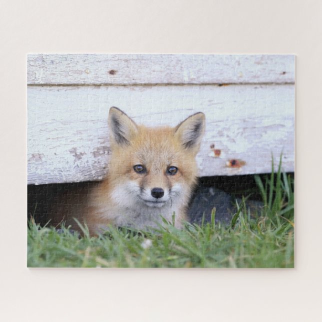 Niedliche Kleintiere | Red Fox Kit Peeking Puzzle (Horizontal)