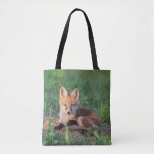 Niedliche Kleintiere Red Fox Kit Relaxen