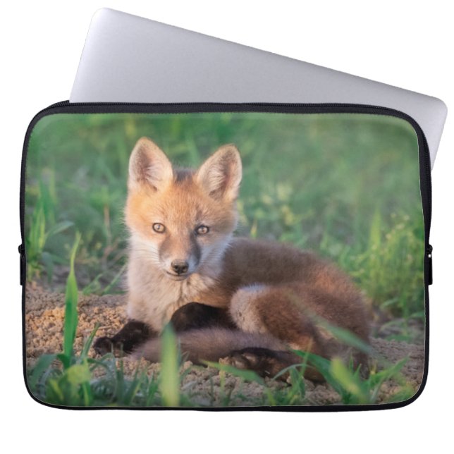 Niedliche Kleintiere | Red Fox Kit Relaxen Laptopschutzhülle (Vorderseite)