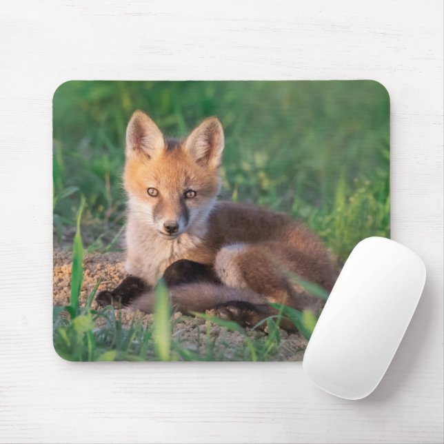 Niedliche Kleintiere | Red Fox Kit Relaxen Mousepad (Mit Mouse)