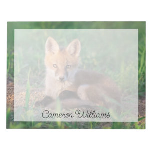 Niedliche Kleintiere Red Fox Kit Relaxen Notizblock