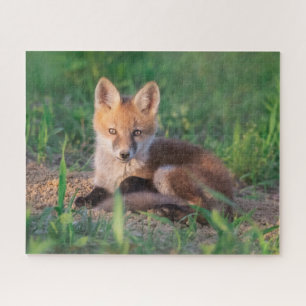 Niedliche Kleintiere Red Fox Kit Relaxen Puzzle