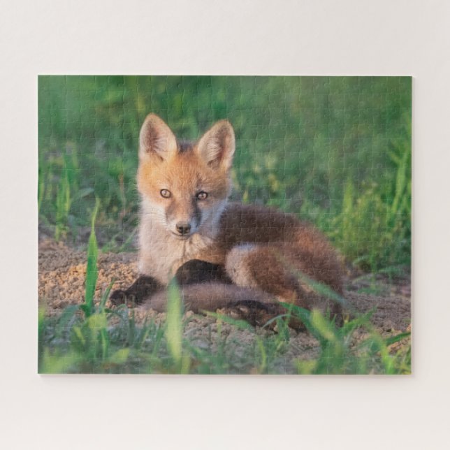 Niedliche Kleintiere | Red Fox Kit Relaxen Puzzle (Horizontal)