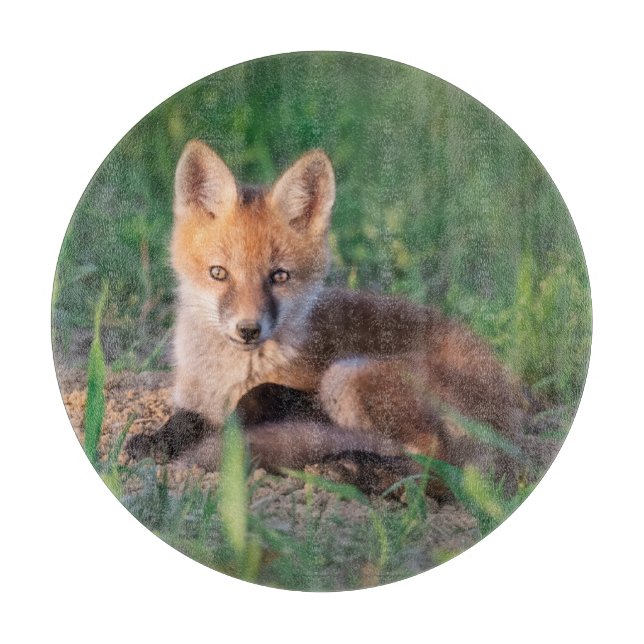 Niedliche Kleintiere | Red Fox Kit Relaxen Schneidebrett (Vorderseite)