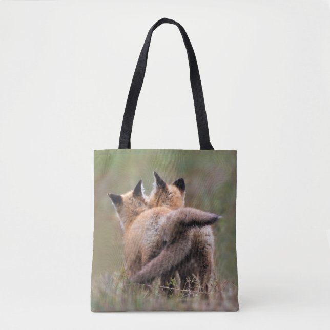 Niedliche Kleintiere | Red Fox Kits Locking Schwan (Vorderseite)