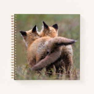 Niedliche Kleintiere   Red Fox Kits Locking Schwan Notizbuch