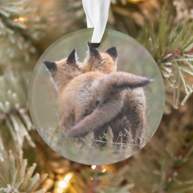 Niedliche Kleintiere | Red Fox Kits Locking Schwan Ornament (Baum)
