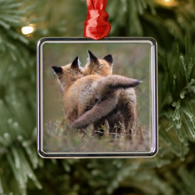 Niedliche Kleintiere | Red Fox Kits Locking Schwan Ornament Aus Metall (Baum)