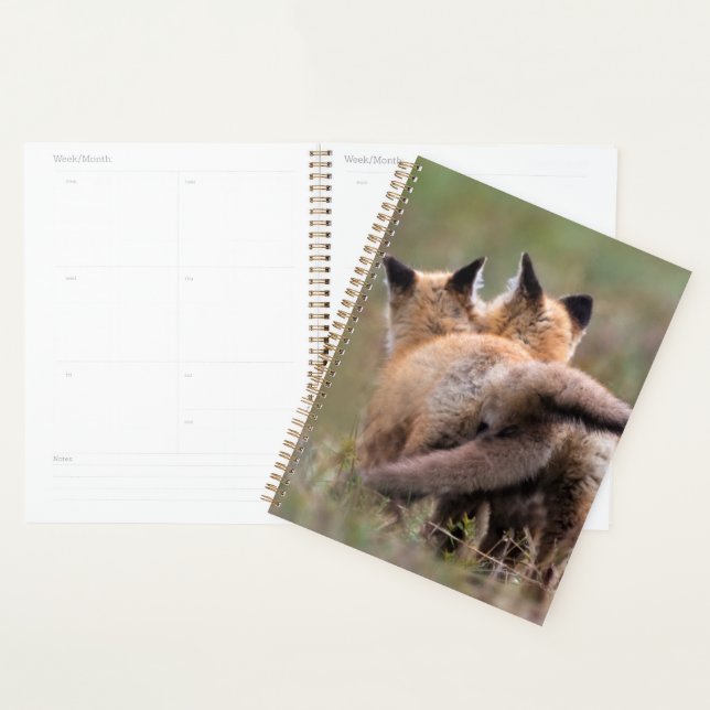 Niedliche Kleintiere | Red Fox Kits Locking Schwan Planer (Anzeige)