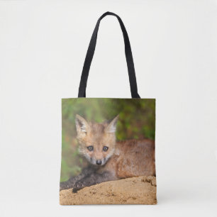 Niedliche Kleintiere Red Fox Pup