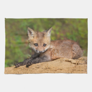 Niedliche Kleintiere Red Fox Pup Geschirrtuch