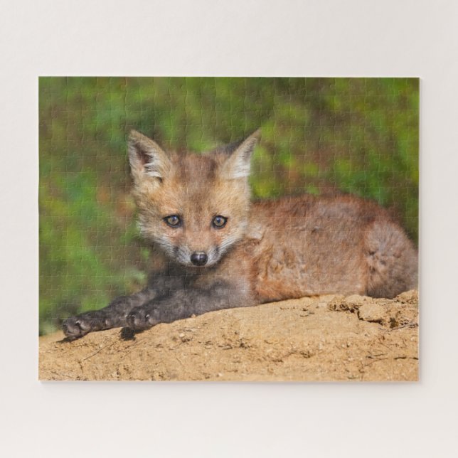 Niedliche Kleintiere | Red Fox Pup Puzzle (Horizontal)