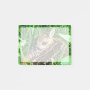 Niedliche Kleintiere   Roe Deer Baby Post-it Klebezettel