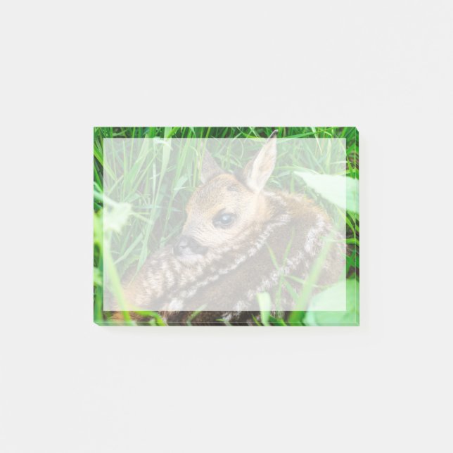 Niedliche Kleintiere | Roe Deer Baby Post-it Klebezettel (Vorderseite)