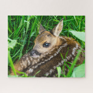 Niedliche Kleintiere   Roe Deer Baby Puzzle