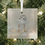 Niedliche Kleintiere | Rohrleitungs-Küken Ornament Aus Glas<br><div class="desc">Dieses niedliche Getty Images Foto besticht durch ein eintägiges Piping Plover Küken stehend auf dem Sand auf Long Island,  New York.</div>