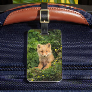 Niedliche Kleintiere   Rotfuchs bei Umnak Alaska Gepäckanhänger