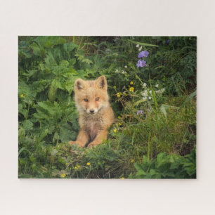 Niedliche Kleintiere   Rotfuchs bei Umnak Alaska Puzzle