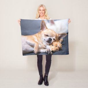 Niedliche Kleintiere   Rothaariger Chihuahua-Hund Fleecedecke