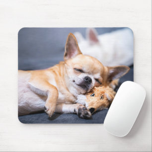 Niedliche Kleintiere   Rothaariger Chihuahua-Hund Mousepad