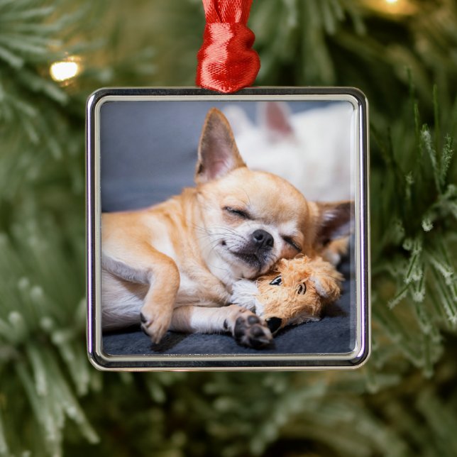 Niedliche Kleintiere | Rothaariger Chihuahua-Hund Ornament Aus Metall (Baum)