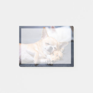 Niedliche Kleintiere   Rothaariger Chihuahua-Hund Post-it Klebezettel