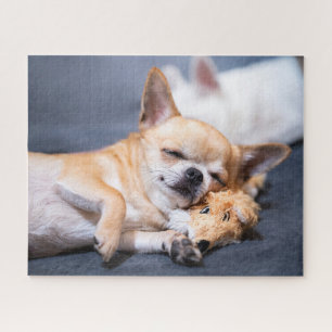 Niedliche Kleintiere   Rothaariger Chihuahua-Hund Puzzle