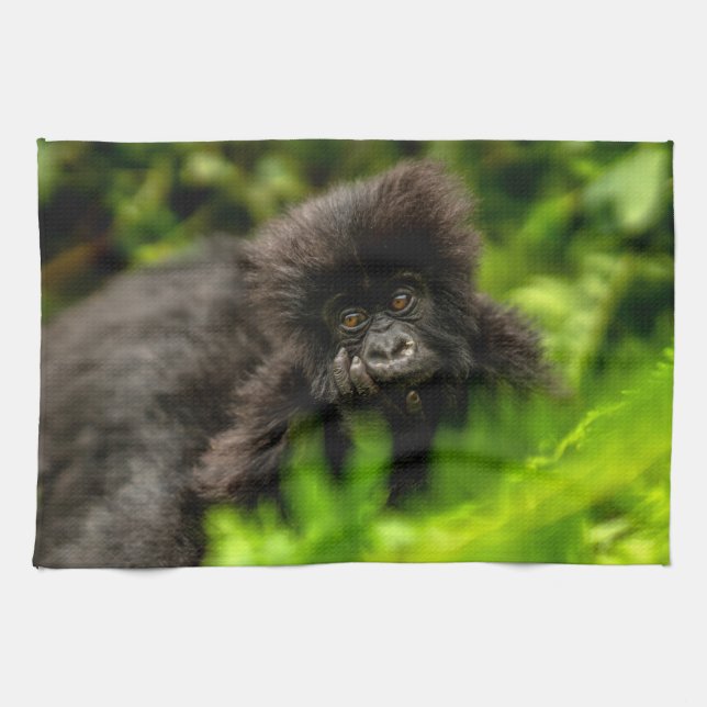Niedliche Kleintiere | Säugling Gorilla Geschirrtuch (Horizontal)
