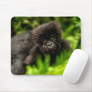 Niedliche Kleintiere Säugling Gorilla Mousepad