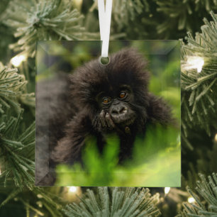 Niedliche Kleintiere   Säugling Gorilla Ornament Aus Glas