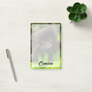 Niedliche Kleintiere   Säugling Gorilla Post-it Klebezettel