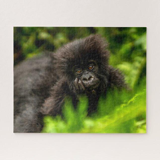 Niedliche Kleintiere | Säugling Gorilla Puzzle (Horizontal)