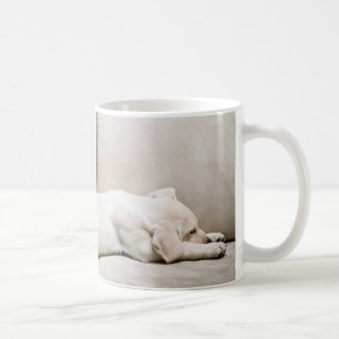 Niedliche Kleintiere   Schläfengelbes Labrador-Wel Kaffeetasse