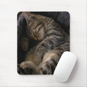 Niedliche Kleintiere   Schlaftablett Mousepad