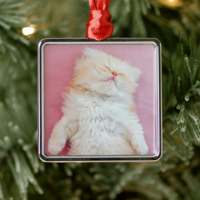 Niedliche Kleintiere | Schönes Kittenschlafen Ornament Aus Metall (Baum)