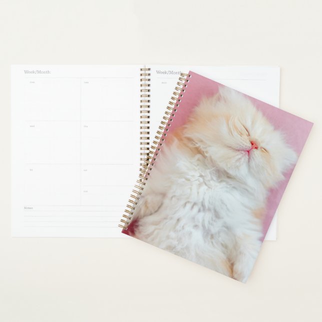 Niedliche Kleintiere | Schönes Kittenschlafen Planer (Anzeige)