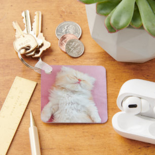 Niedliche Kleintiere Schönes Kittenschlafen Schlüsselanhänger