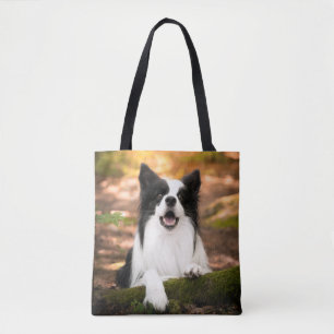 Niedliche Kleintiere Schwarz-Weiß-Border-Collie
