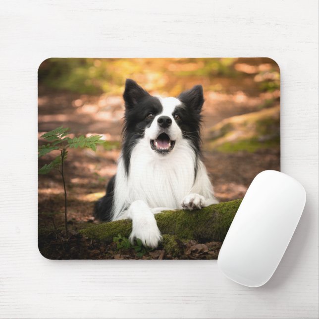 Niedliche Kleintiere | Schwarz-Weiß-Border-Collie Mousepad (Mit Mouse)