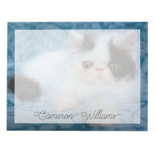 Niedliche Kleintiere Schwarze und weiße Kätzchen Notizblock