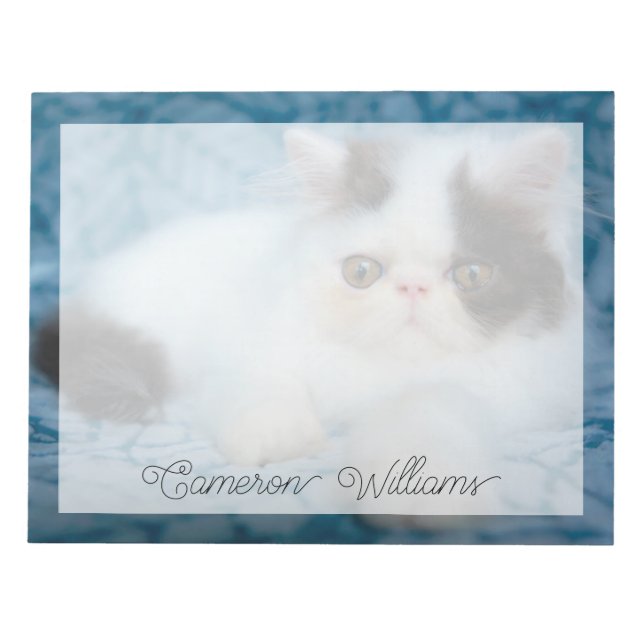 Niedliche Kleintiere | Schwarze und weiße Kätzchen Notizblock (Vorderseite)