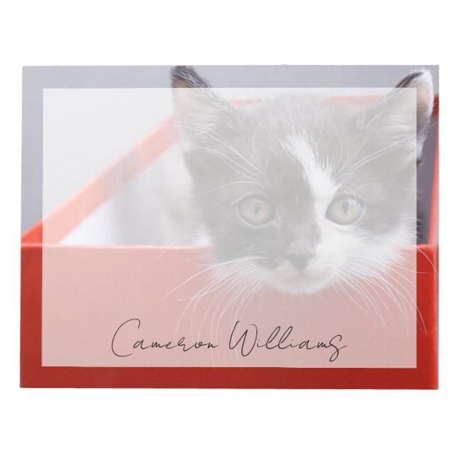 Niedliche Kleintiere | Schwarze und weiße Kätzchen Notizblock (Vorderseite)