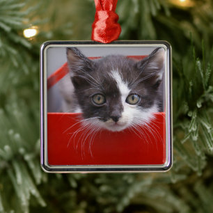 Niedliche Kleintiere   Schwarze und weiße Kätzchen Ornament Aus Metall