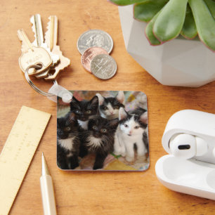 Niedliche Kleintiere   Schwarze und weiße Kätzchen Schlüsselanhänger